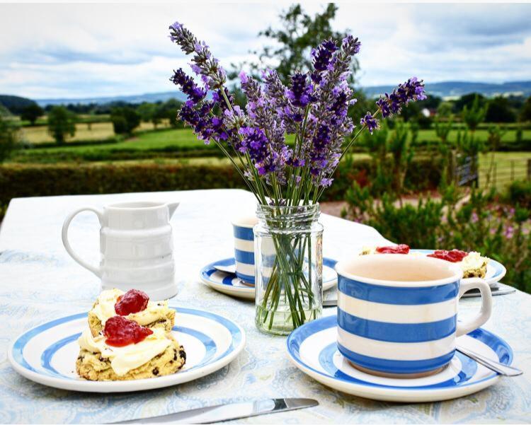 Higher Biddacott Farm Bed & Breakfast Chittlehampton Exterior photo