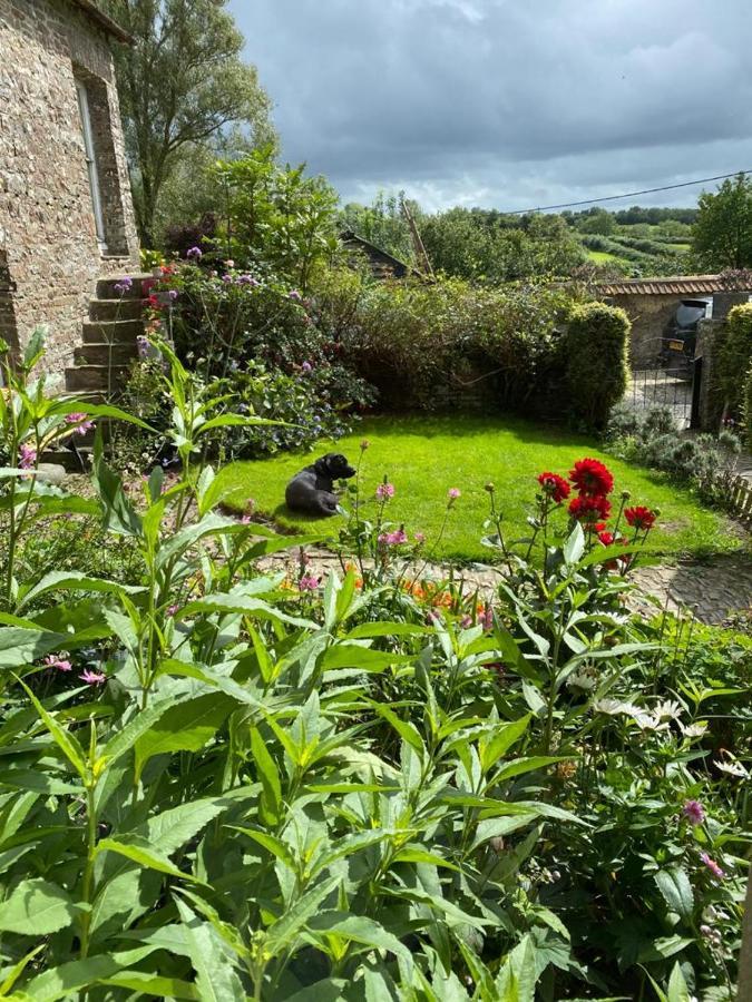 Higher Biddacott Farm Bed & Breakfast Chittlehampton Exterior photo