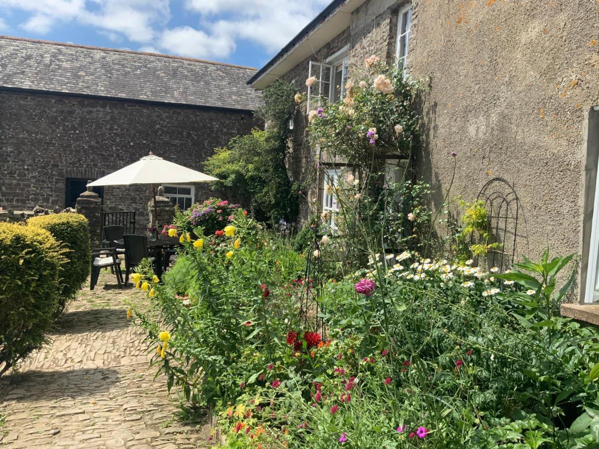 Higher Biddacott Farm Bed & Breakfast Chittlehampton Exterior photo